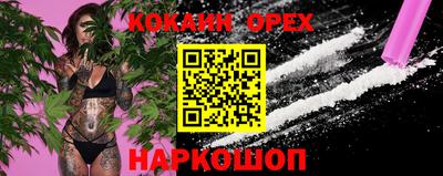 стаф Дубна
