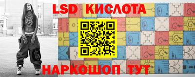 стаф Дубна