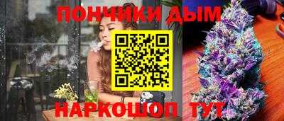 стаф Дубна