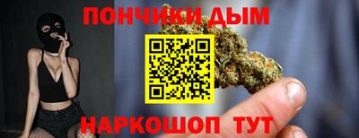 стаф Дубна