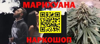 стаф Дубна
