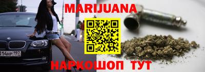 стаф Дубна