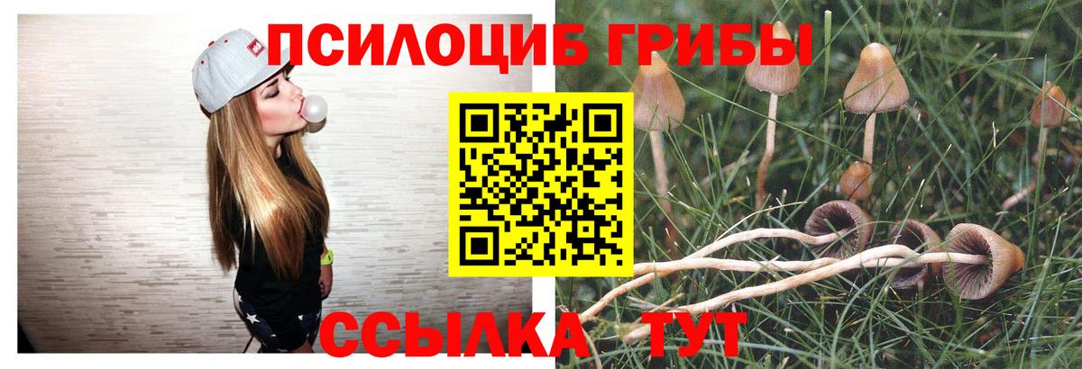 Мытищи  Псилоцибиновые грибы Psilocybe  Галлюциногенные грибы GOLDEN TEACHER  Вход с VPN 